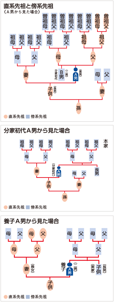 直系先祖と傍系先祖