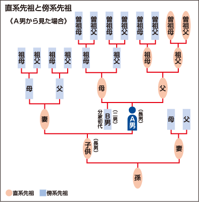 直系先祖と傍系先祖